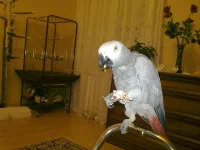 210620111430.webp