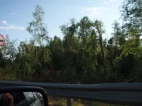 P8133986.webp