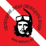 abirvalg_che.webp