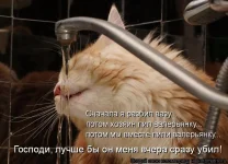 928655.webp