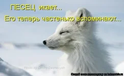 914800.webp
