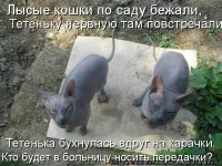 877779.webp