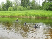 DSCN0653.webp