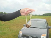 DSCN0655.webp