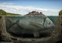 0_3b920_ee59d9a1_XL.webp