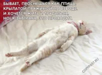 546ecfa7cc57.webp