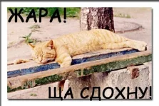 e580f6e31e1e.webp