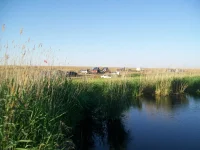 100_3018.webp