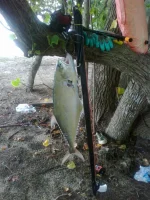02072011041.webp 02072011041.webp