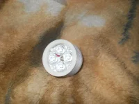 DSCN0683.webp
