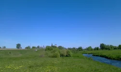 IMAG0181.webp