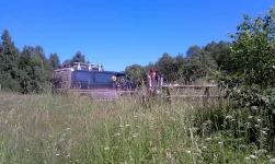 IMAG0253.webp
