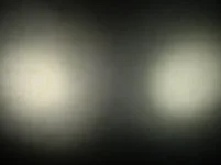 IMGP8277_.webp