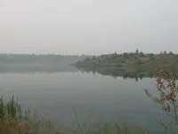 008.webp