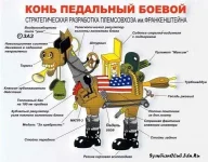 427558276_huge.webp