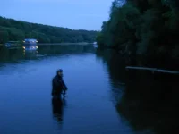 DSCN0686.webp