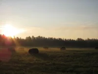 x_f064fbc2.webp