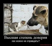 634507034_huge.webp