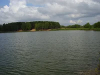 P7010624.webp