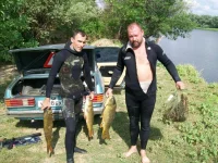 100_3157.webp