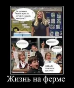 demotivatory_na_ponedelnik_53_foto_49.webp