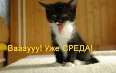 sreda.webp