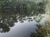 11 июля 2011  (4).webp