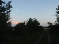 11 июля 2011  (6).webp