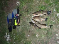 11 июля 2011  (2).webp