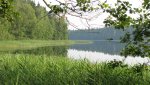 IMG_1541.jpg