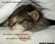 59759953e198.webp