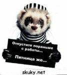 friday-11.jpg