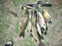 16 на 17 июля 2011 01 (4).webp