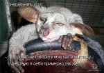 %D1%83%D1%82%D1%80%D0%BE%20%D0%BF%D0%BE%D0%BD%D0%B5%D0%B4%D0%B5%D0%BB%D1%8C%D0%BD%D0%B8%D0%BA%D0.jpg