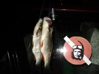 DSC00744.webp