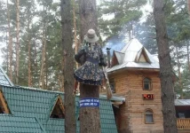 ведьма.webp