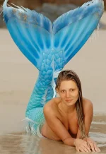 alfy 3.webp