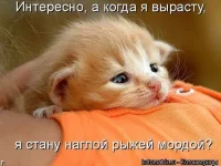 kotomatrix_2_01.webp