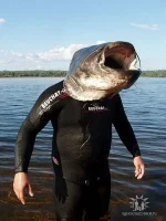 человек сом.webp