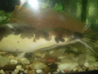 PA300809.webp