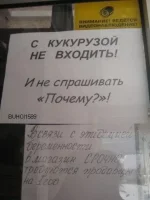 9.webp