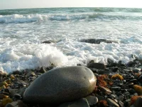 DSCN3189.webp