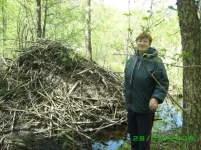 IMGP0319.webp