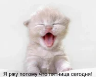 ПЯТНИЦА.webp