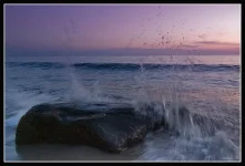 1184418933.webp