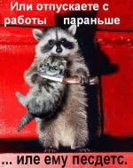 9094.webp