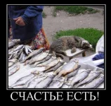 сч.webp