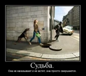 сч7.webp