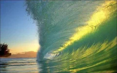 5(30).webp