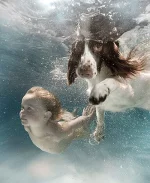 3(41).webp